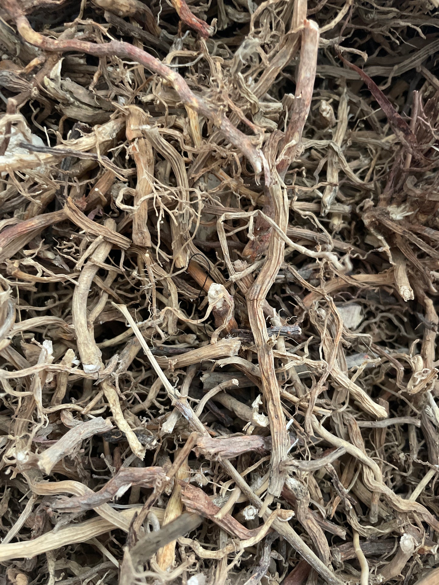 Jamaicaanse sarsaparilla